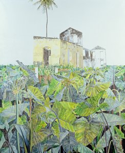 Ruiny na bagnach, Haiti, 1971
