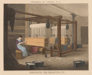 Progress of Cotton: #9 - Reeding lub wciąganie autorstwa James Richard Barfoot