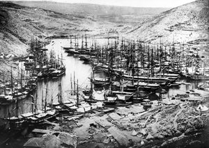 Port Balaklava podczas wojny krymskiej, ok. 1855