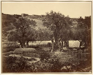 Ogród Getsemani autorstwa James Robertson