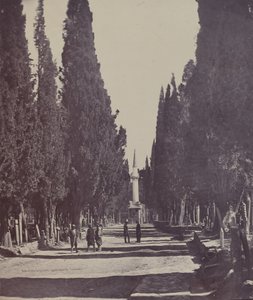 Scena na dużym cmentarzu Scutari autorstwa James Robertson