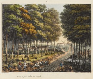 Edge of the Foret de Soignes, z „Relacji historycznej z bitwy pod Waterloo”, 1817 (kolorowa akwatinta)
