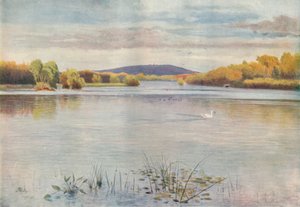 „Staw Vachery”, 1911, 1914