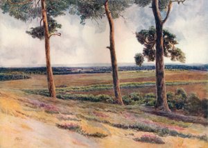 „Widok ze Staple Hill”, 1911, 1914 autorstwa James S Ogilvy