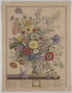 marraskuuta 1730 puolaa