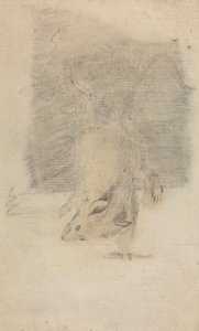 Mysz autorstwa James Sowerby