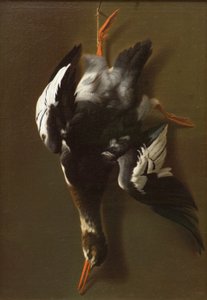 Martwy ptak, c.1815 (olej na płótnie) autorstwa James Thom