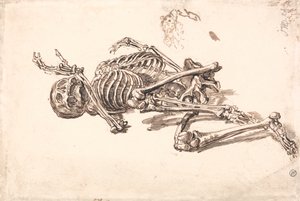 Ludzki szkielet autorstwa James Ward