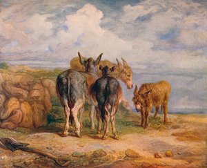 Osły, ok. 1831 1904 r. autorstwa James Ward