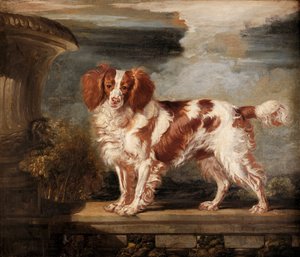Portret Dash, ulubionego spaniela, własność Lady Frances Vane-Tempest autorstwa James Ward