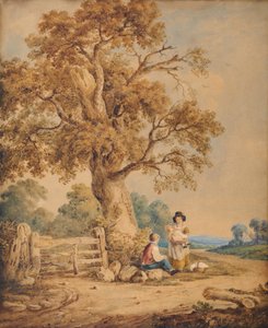 Scena wiejska autorstwa James Ward