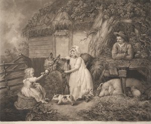 Rustykalna Felicity autorstwa James Ward