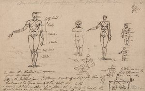 Badania anatomii, pomiary i pisanie autorstwa James Ward