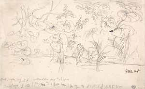 Badania nad roślinami, 2 sierpnia 1815 r. autorstwa James Ward