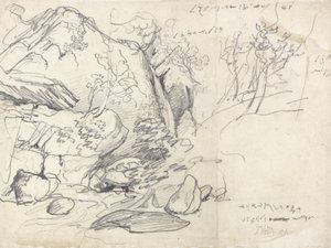 Studium góry z drzewami (czarna kreda na papierze) autorstwa James Ward