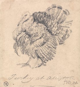 Studium Turcji autorstwa James Ward