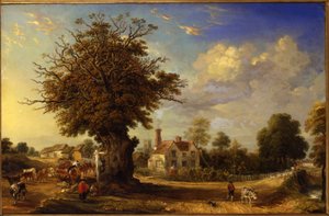 Dąb Yeldham w Great Yeldham, Essex, 1833