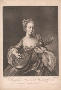 Domestick Rozrywka: Gra na gitarze