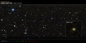 Galaktyka MoM-z14 z pola COSMOS (zdjęcie z kamery NIRCam) autorstwa James Webb Space Telescope (NASA)