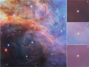 Obiekty o małej masie w Mgławicy Płomienistej (zdjęcie z kamery NIRCam) autorstwa James Webb Space Telescope (NASA)