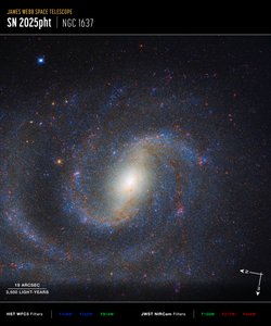 Zdjęcie NGC 1637 wykonane przez teleskop Compass autorstwa James Webb Space Telescope (NASA)