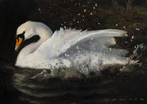 Tańczący łabędź autorstwa James Zamora