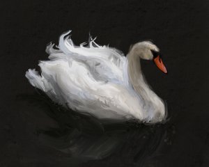 Wdzięczny biały łabędź autorstwa James Zamora