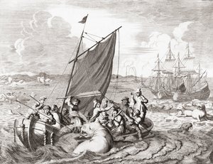 Łowcy morsów w XVI wieku (rycina)