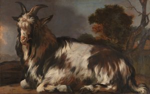 Leżąca Koza autorstwa Jan Baptist Weenix