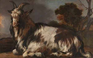 Leżąca koza autorstwa Jan Baptist Weenix