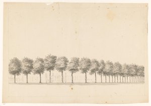 Bomenallee w Batawii autorstwa Jan Brandes