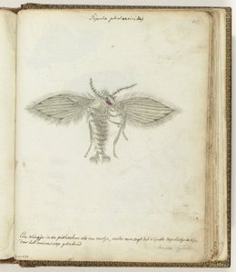 latać autorstwa Jan Brandes