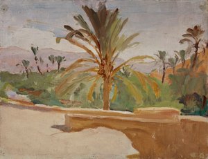 Biskra (Oaza z palmami)