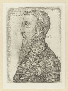 Portret van Hendrika II Henryk Król Galów (tytuł na obiekcie)