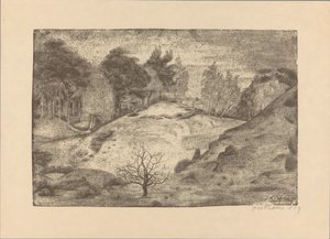 Heath w pobliżu Laren autorstwa Jan Fekkes (signed by artist)