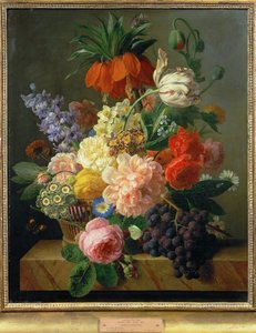 Kwiaty i owoce ... (obraz na płótnie) autorstwa Jan Frans van Dael