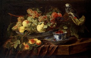 Martwa natura z owocami i papugą, 1645.
