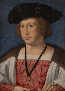  autorstwa Jan Gossaert