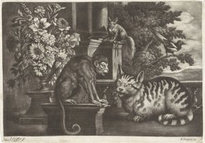 Aap, kat, eekhoorn i ekster