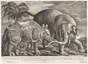 Olifant en neushoorn Prawdziwe przedstawienie dwóch wielkich arcydzieł natury, słonia i nosorożca (tytuł na obiekcie)
