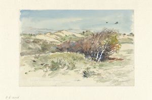 Krajobraz wydm między Bloemendaal i IJmuiden