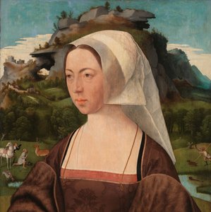 Portret nieznanej kobiety Portret kobiety autorstwa Jan Jansz Mostaert
