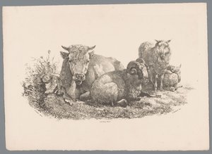 Krowa, baran i dwie owce Beesten Studien J. Kobell wg Paula Pottera Nr. 1 (tytuł serii) autorstwa Jan Kobell (III)