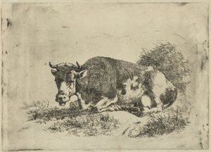 Leżąca krowa autorstwa Jan Kobell (III)
