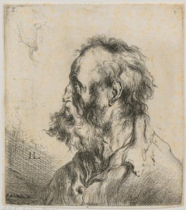 Portret piersiowy brodatego starca