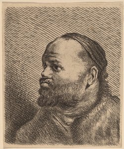 Popiersie mężczyzny o grubych ustach autorstwa Jan Lievens