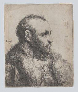 Popiersie starego mężczyzny w futrzanym kołnierzu autorstwa Jan Lievens