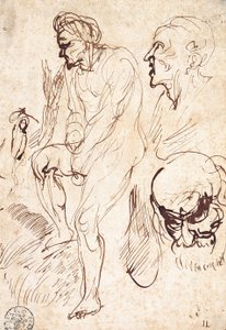 Badania po modelu autorstwa Jan Lievens