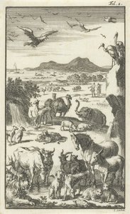 Stworzenie autorstwa Jan Luyken