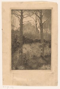 skraj lasu autorstwa Jan Mankes